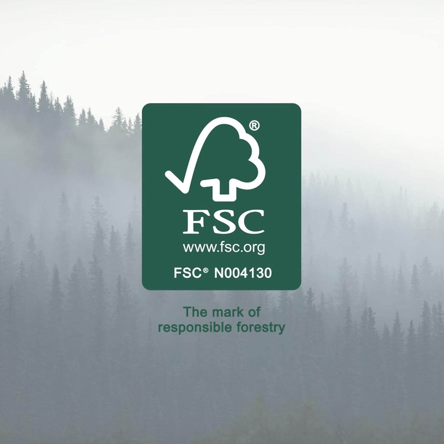 Amazon Aware All Purpose Cleaning Cloth, 8 Count, Pack of 2 Green, 13 x 15 Inch