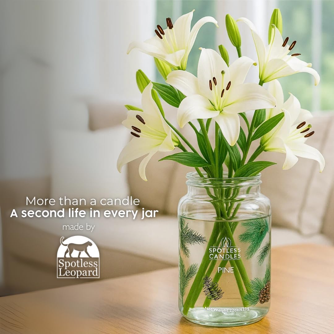 Pine Candle - Large 22oz Glass Jar with Wooden Wick 130 Hours Burn Time - Decorated Jar Within a Presentation Gift Box and Protective Shipping Box