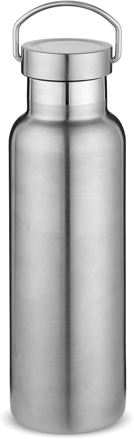 Neihepal Silver Stainless Steel Water Bottles,20 Ounce Vacuum Insulated Double Wall Travel Bottle with Leak Proof Lid of Handle,Metal Reusable Standard Mouth Flask Thermoses for School,Hikers,Gift