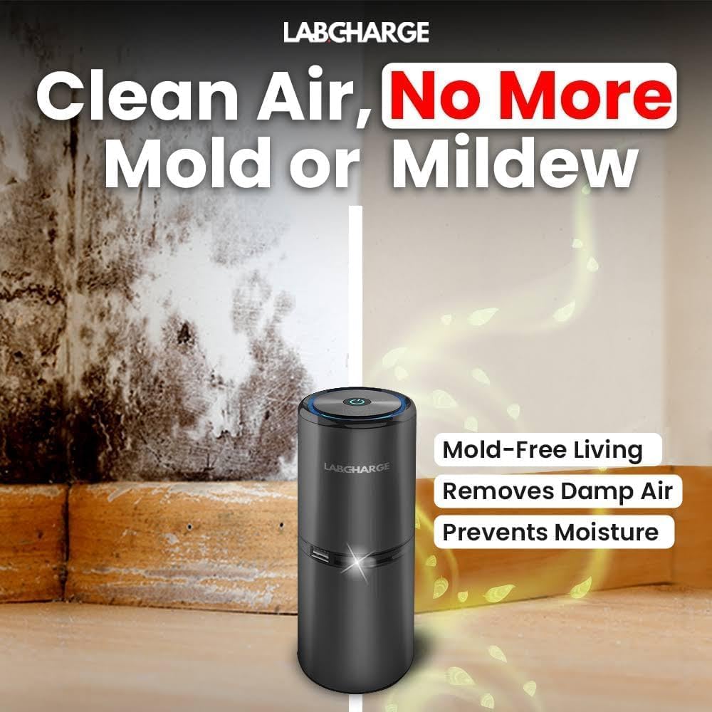 Lab Charge Small Ionic Air Purifier for Home & Bedroom – Silent HEPA Filter – Covers 250 Sq Ft - Free Cleaner for Pets, Hair, Smoke, Dust, Odors & Dander – Compact & Black Design - Pack of 4