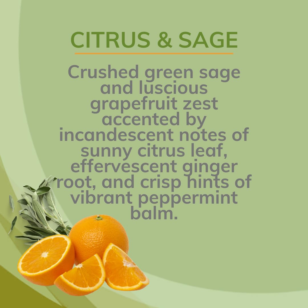 Citrus Magic Odor Eliminating Air Freshener Spray, Citrus and Sage, 3-Ounce, Pack of 3