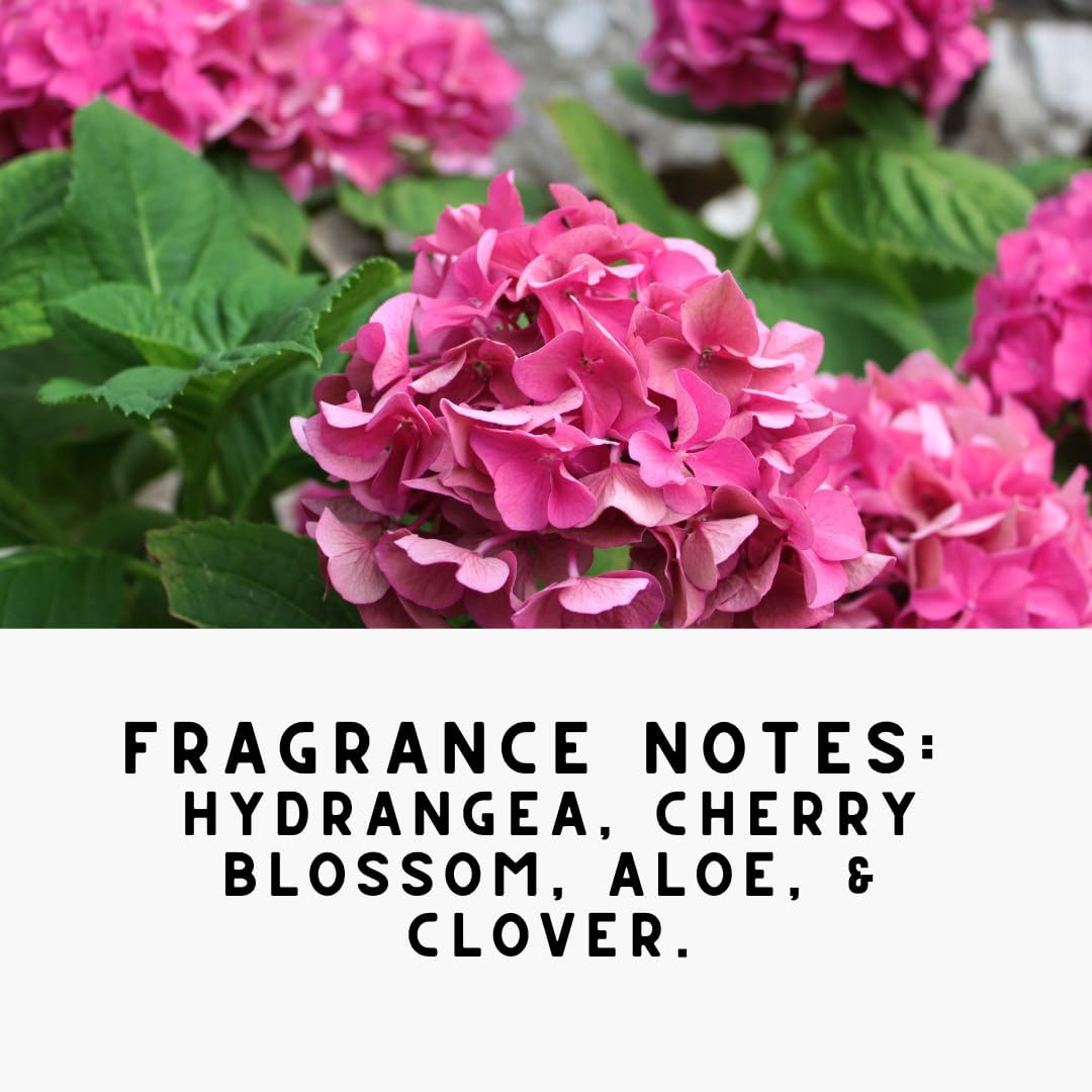 Home 'PINK FIELDS' Natural Laundry Detergent Powder – Hydrangea & Clover Scent – HE & Standard Machines – Stain & Odor Remover – Nontoxic & Biodegradable (32 oz / 64 Loads)