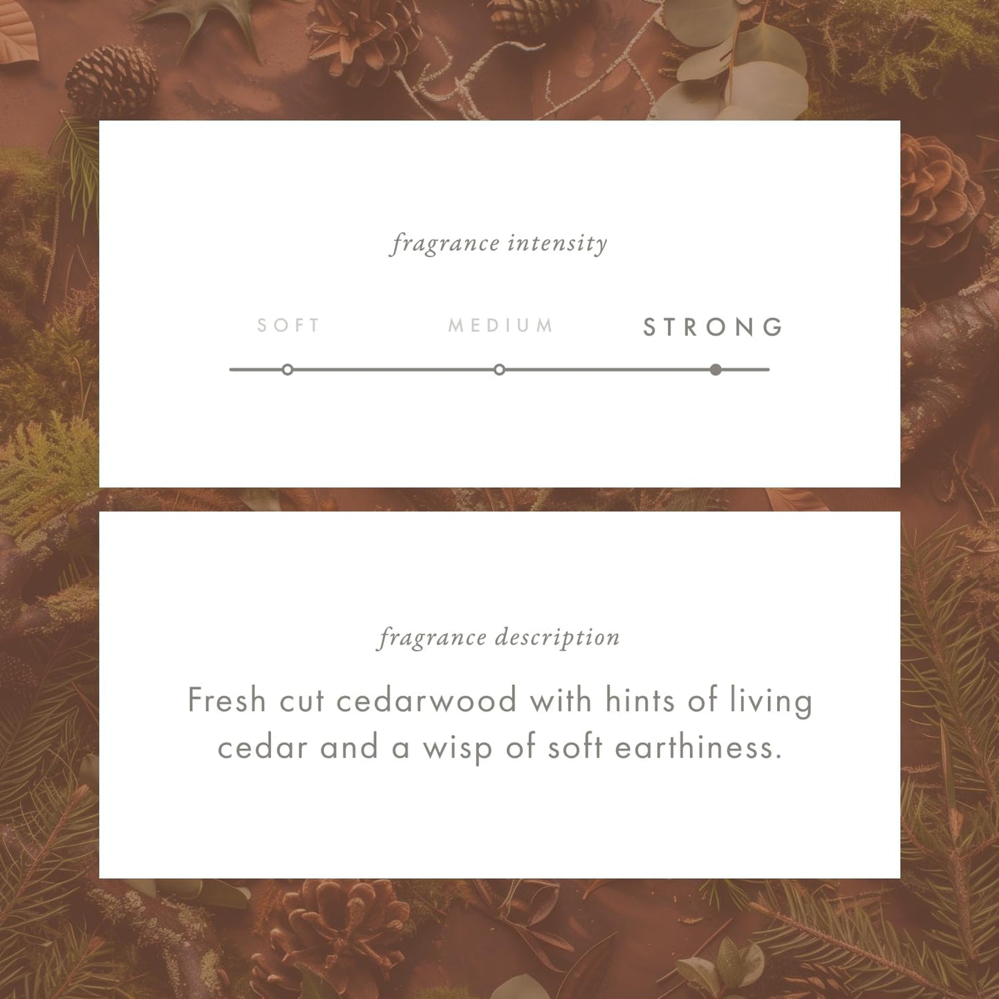 ScentAir Whisper Home Monthly Plug-in Refill, Fragrance Cartridge for Home and Office, Amazon Exclusive, Cedarwood