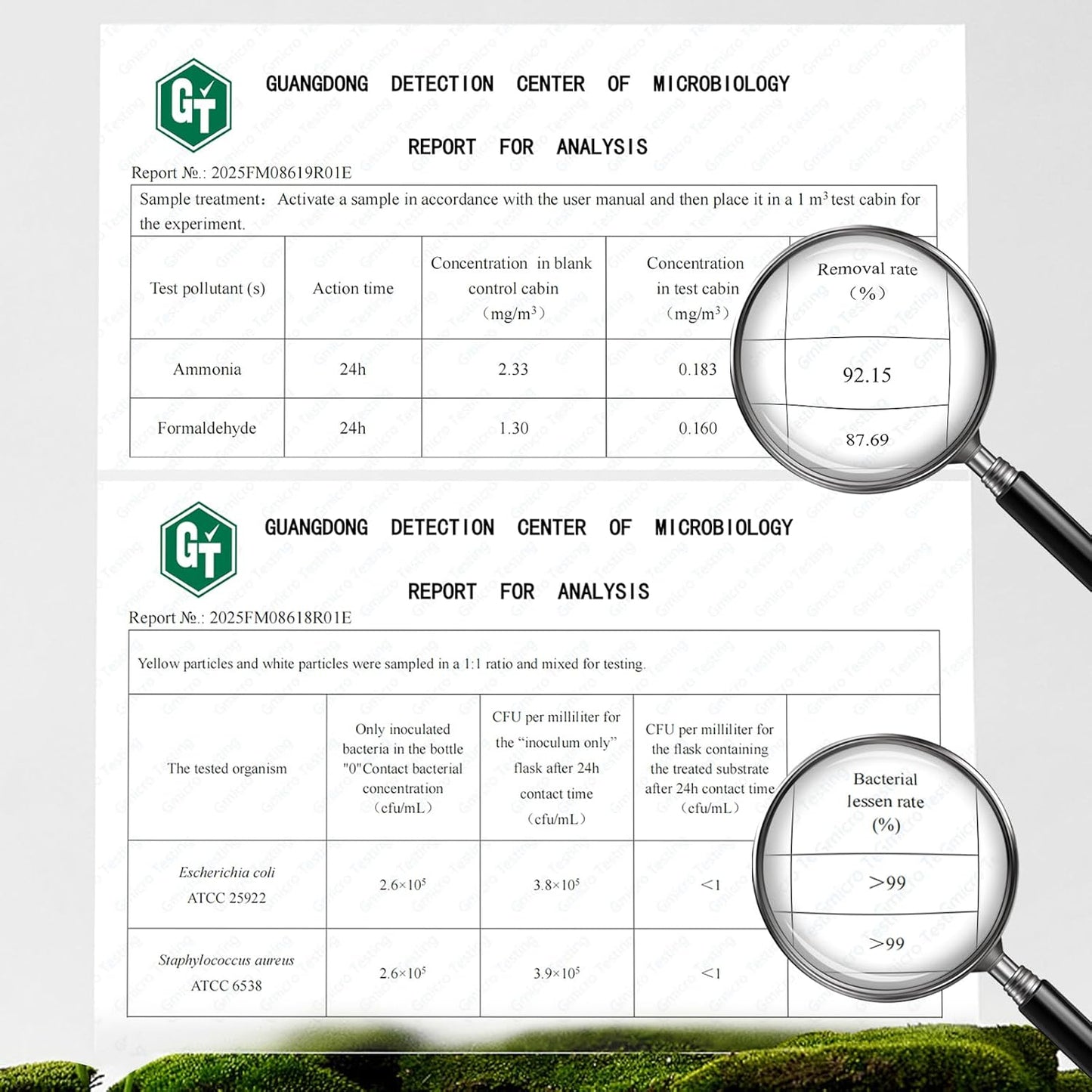 Strongest Refrigerator Deodorizer Odor Eliminator - 24h Fast Odor Removal, 12Months Long-Lasting Freshness, Non-Toxic Formula