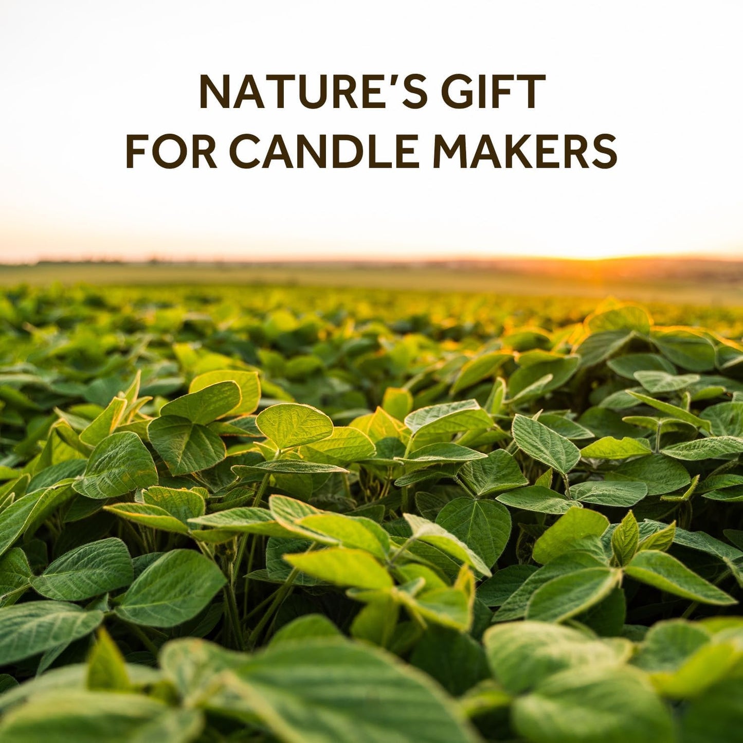 NORVENCE Soy Wax for Candle Making, Natural Soy Wax Flakes 40lb, Premium Candle Wax for DIY Candle Crafting