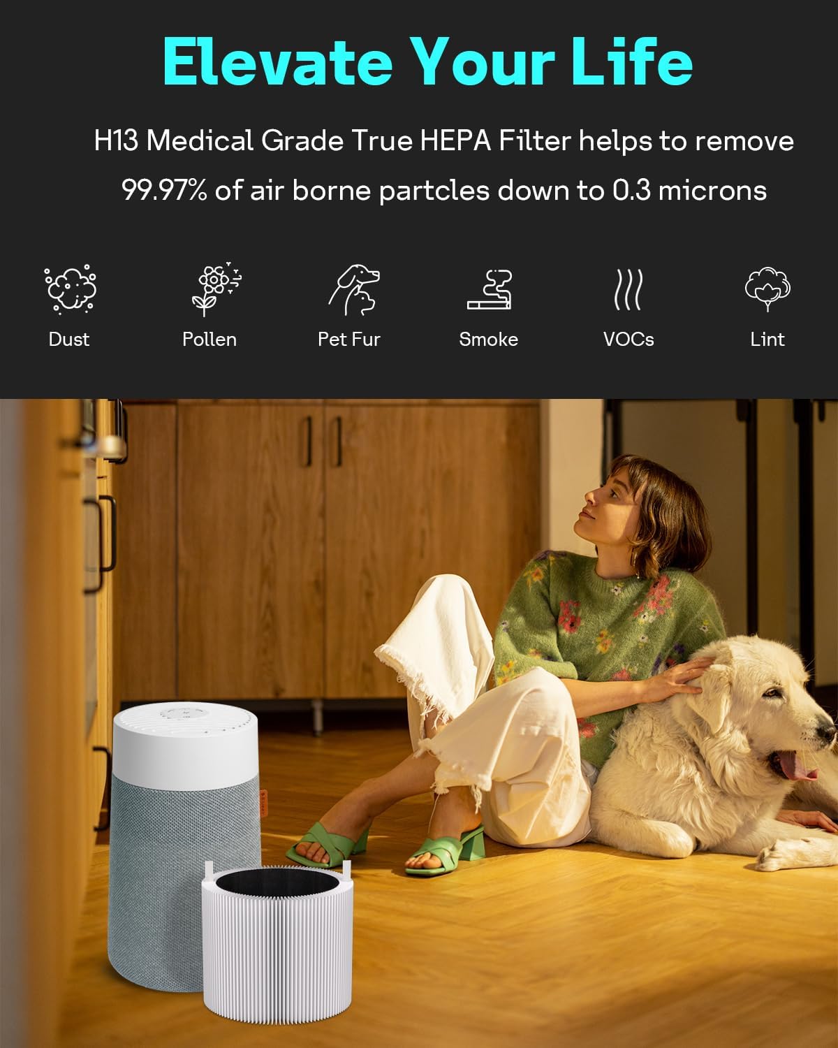 Leemone 2 Pack Mini Max Replacement Filter Compatible with Blueair Blue Pure Mini Max Air Purifiers, Activated Carbon FMINI filter