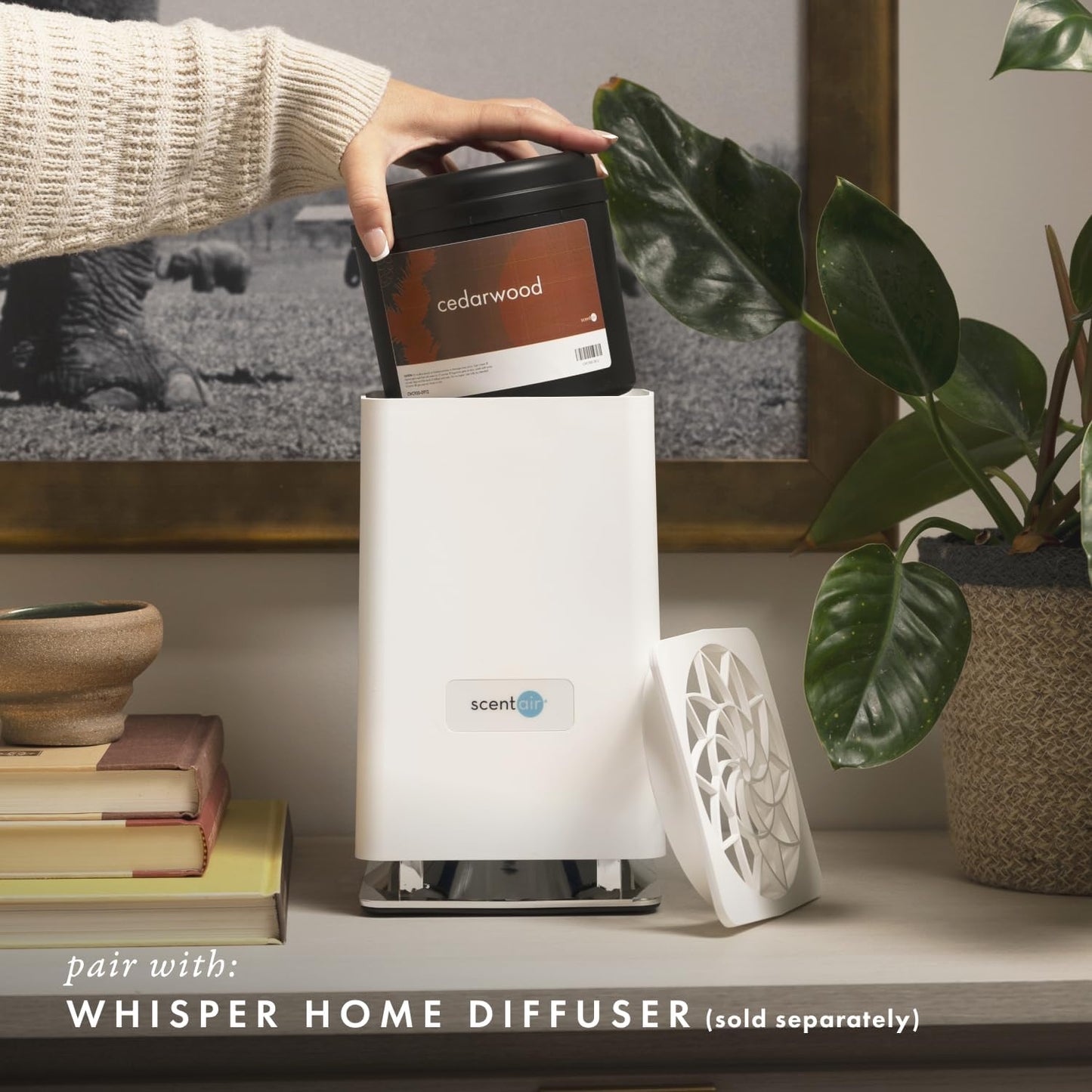 ScentAir Whisper Home Monthly Plug-in Refill, Fragrance Cartridge for Home and Office, Amazon Exclusive, Cedarwood