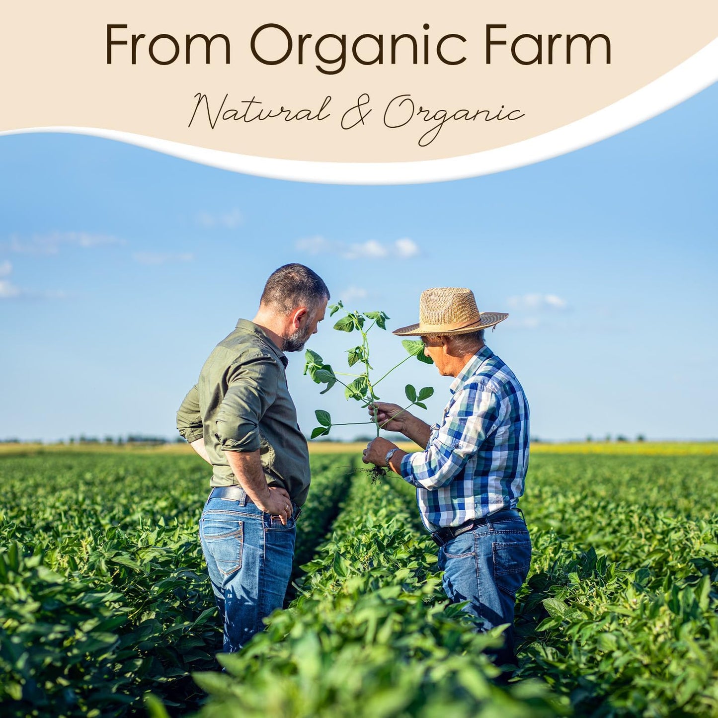 CHILLFLAME Soy Wax Flakes, Natural Candle Wax, Organic Soy Wax for Candle Making from Farm, No Harmless, Additives, and Pure (2 lb)