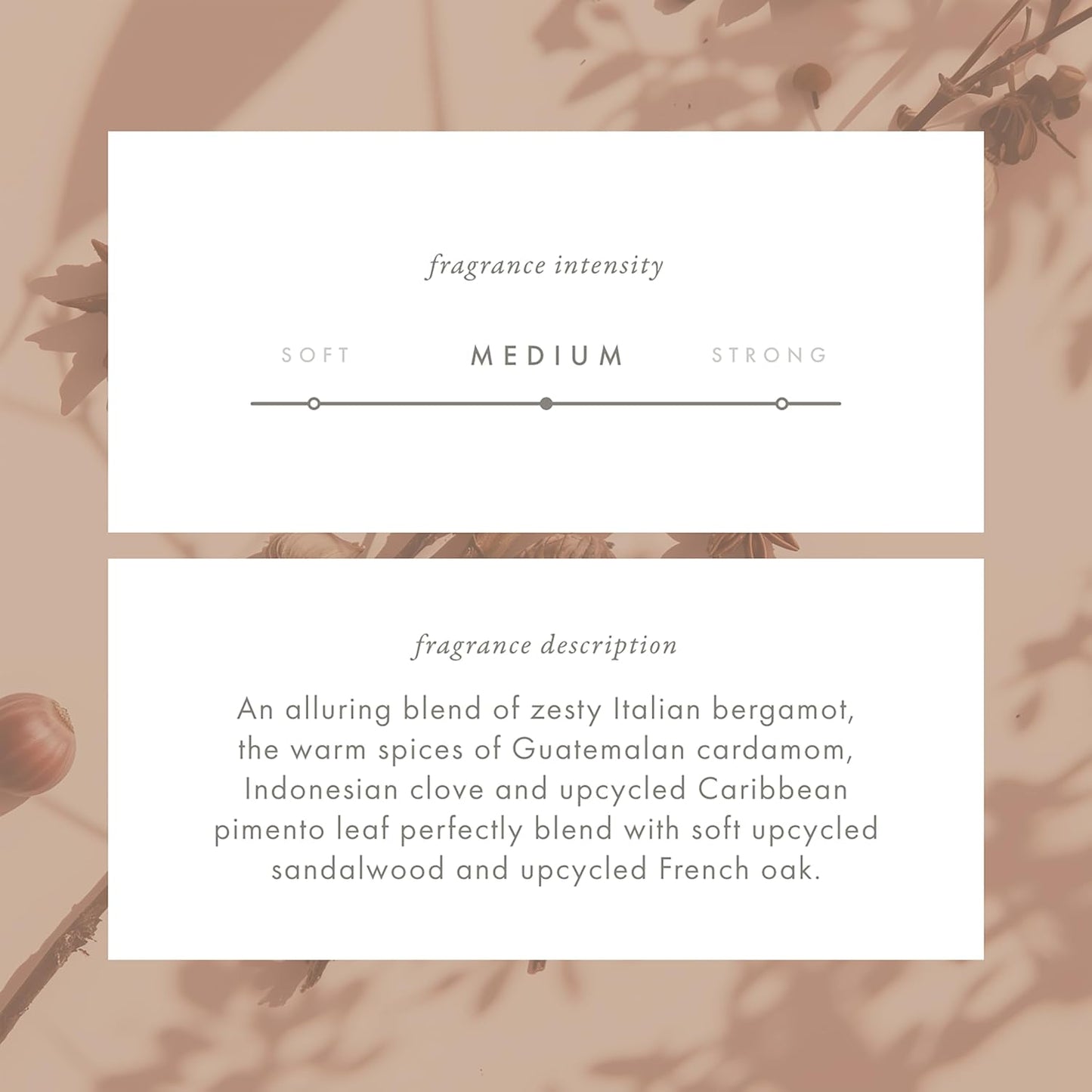 ScentAir Whisper Home Monthly Plug-in Refill, Fragrance Cartridge for Home and Office, ECO Allure