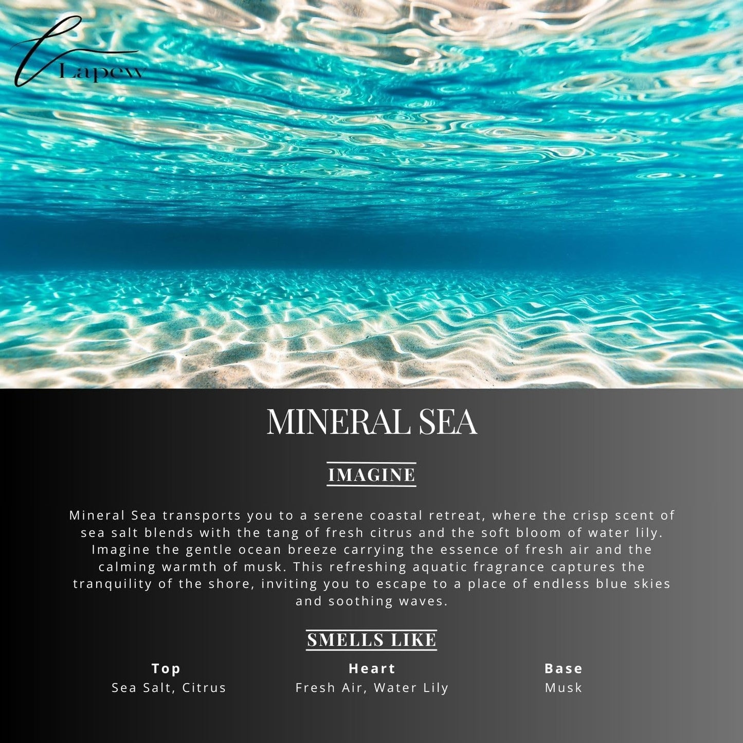 Mineral Sea Carpet Freshener Powder Refill 36 oz | Powerful Odor Eliminator for Home | Upholstery Deodorizer | Carpet Deodorizer | Pet Urine | Cat Litter Box | Vitamin Sea Fragrance