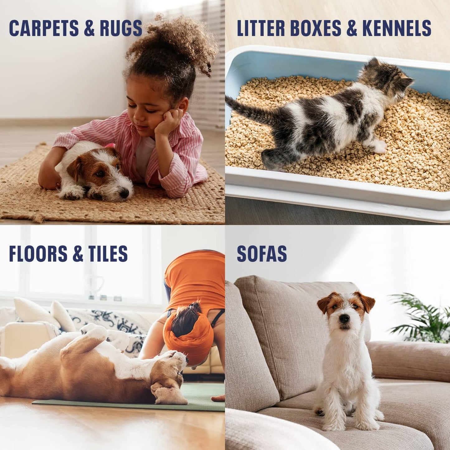 Bioesque Advanced Stain + Odor Remover, Pet-Friendly Natural Enzymatic & Bacterial Formula, Heavy-Duty Stain & Odor Remover, Safe on Carpets, Hard Floors, & More, 32 Fl Oz (Pack of 6)