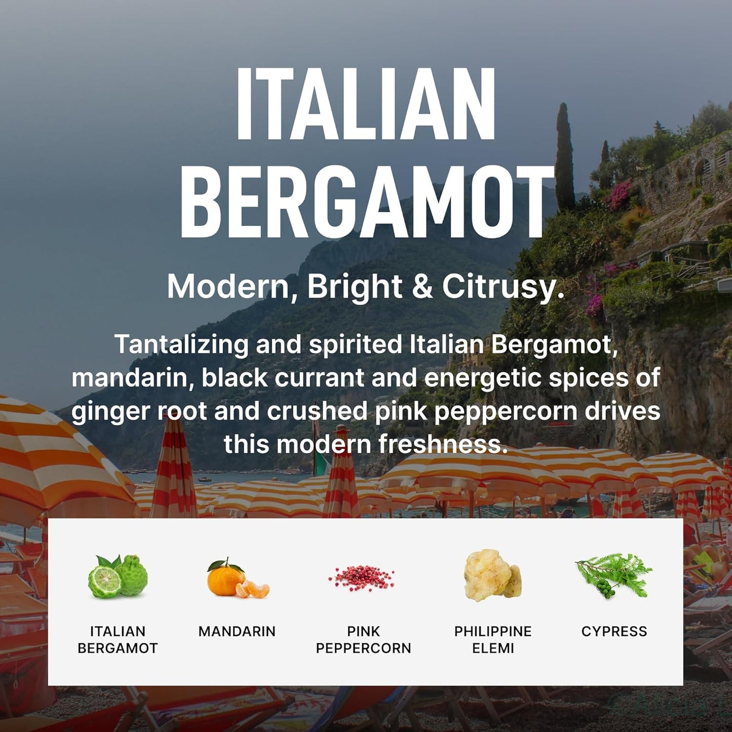 Laundry Sauce Fabric Refresher Spray Italian Bergamot, Odor-Fighting Fabric Refresher, Fragrance and Laundry Scent, 9.8 fl oz