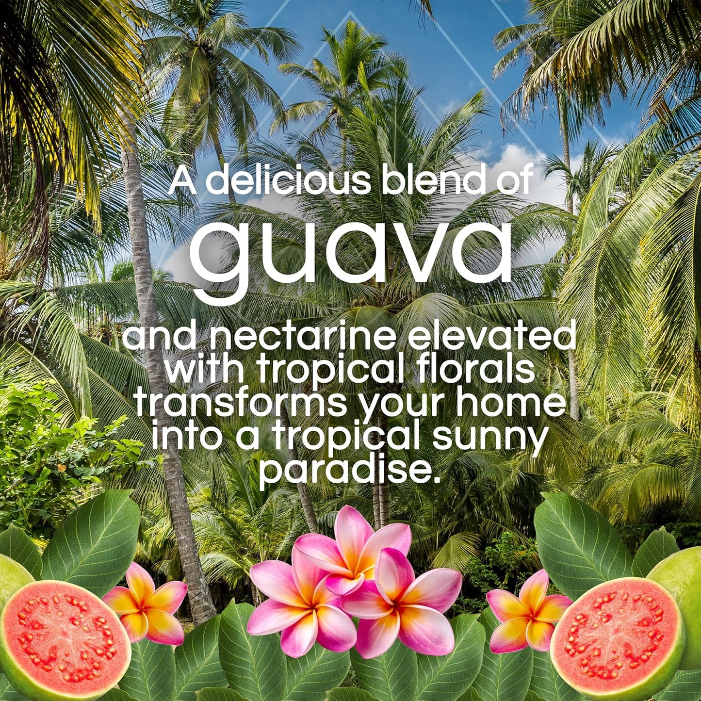 Air Wick Scented Oils 0+5 Hawaiian Guava & Tropical Flower (old Nectarine & Paradise Flower)